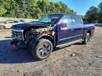 2025 Ford F150 Lightning XLT