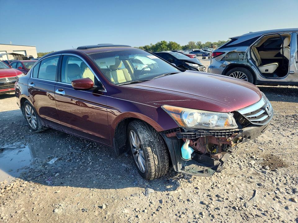 2011 Honda Accord EXL
