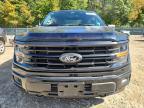 2025 Ford F150 XLT