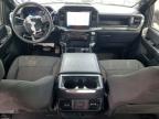 2024 Ford F150 STX