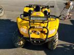2007 Canam Canam