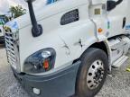 2014 Freightliner Cascadia 113
