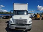 2019 Freightliner Business Class M2 BOX Truck