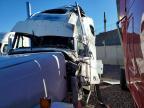 2002 Freightliner FLD120 Semi Truck