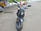 2025 Honda CBF300 NA