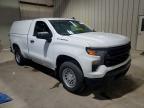 2023 Chevrolet Silverado C1500