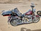 2004 Harley-Davidson Flstci