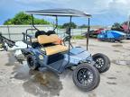 2019 Ezgo Golf Cart