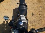 2021 Harley-Davidson XL883 N