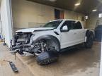 2020 Ford F150 Raptor