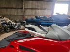 2024 Sea-Doo RXP-X JET SKI