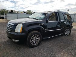 Salvage cars for sale from Copart Kapolei, HI: 2007 Cadillac Escalade Luxury