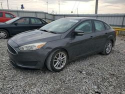 Ford Focus se salvage cars for sale: 2017 Ford Focus SE