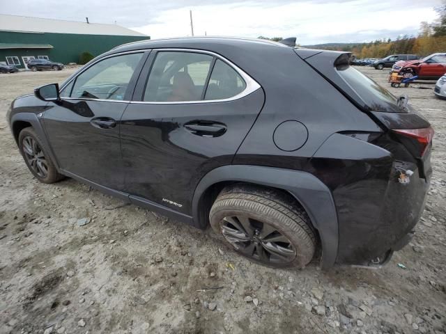 2019 Lexus UX 250H