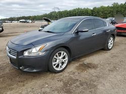 2013 Nissan Maxima S for sale in Greenwell Springs, LA