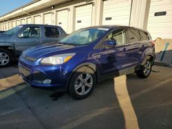 Ford salvage cars for sale: 2014 Ford Escape SE