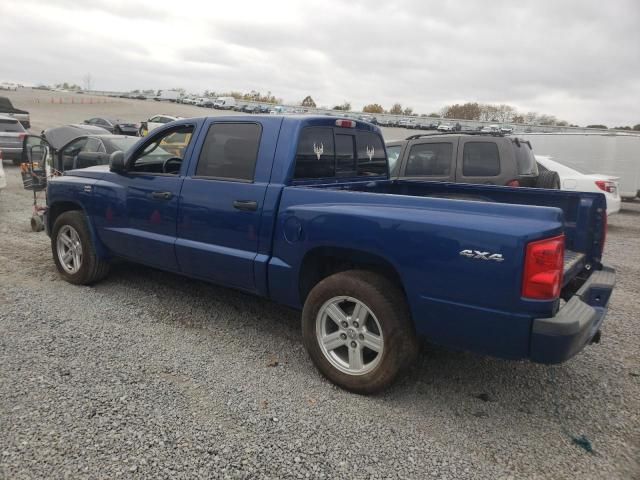 2010 Dodge Dakota SXT