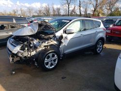 Ford salvage cars for sale: 2014 Ford Escape SE