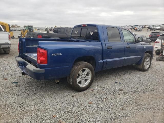 2010 Dodge Dakota SXT