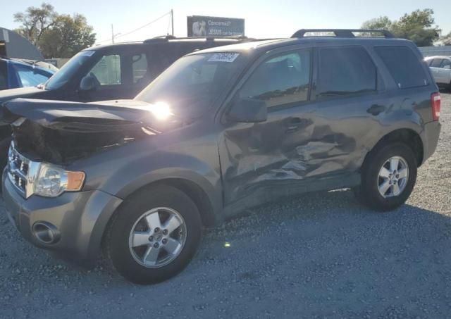 2011 Ford Escape XLT