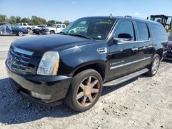 2007 Cadillac Escalade ESV for sale in Earlington, KY