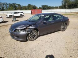 Honda Vehiculos salvage en venta: 2014 Honda Accord Hybrid