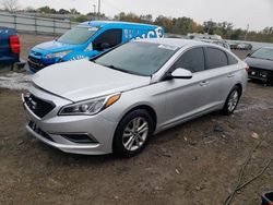 2016 Hyundai Sonata SE for sale in Louisville, KY