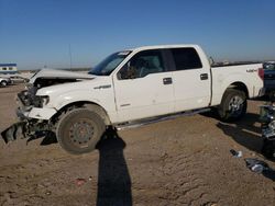 Ford salvage cars for sale: 2013 Ford F150 Supercrew