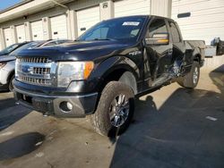 Ford F-150 salvage cars for sale: 2013 Ford F150 Super Cab