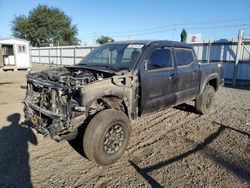 2023 Toyota Tacoma Double Cab en venta en San Diego, CA