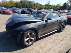 Ford Mustang salvage cars for sale: 2015 Ford Mustang