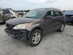 Salvage cars for sale from Copart Sikeston, MO: 2010 Honda CR-V EX