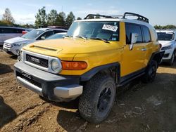 2007 Toyota Fj Cruiser for sale in Cahokia Heights, IL