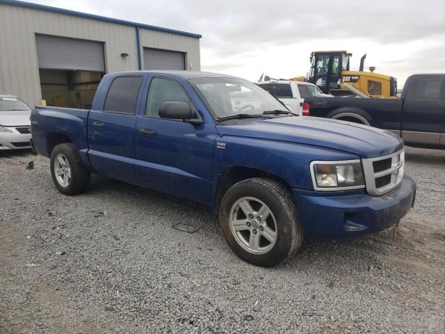 2010 Dodge Dakota SXT