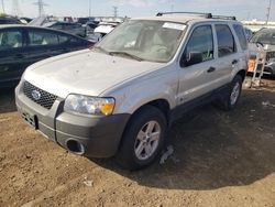 Salvage cars for sale from Copart Dyer, IN: 2005 Ford Escape HEV