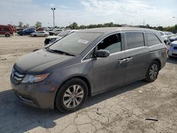 Vehiculos salvage en venta de Copart Indianapolis, IN: 2014 Honda Odyssey EXL