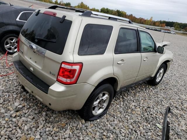 2010 Ford Escape Limited