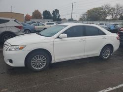 Toyota salvage cars for sale: 2010 Toyota Camry Base