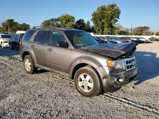 2011 Ford Escape XLT