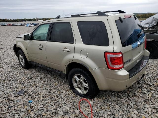 2010 Ford Escape Limited