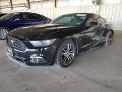 2017 Ford Mustang for sale in Phoenix, AZ