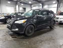2015 Ford Escape SE for sale in Ham Lake, MN