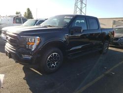 Ford salvage cars for sale: 2023 Ford F150 Supercrew