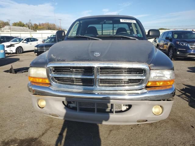 2003 Dodge Dakota SLT