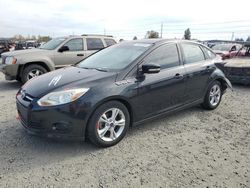 Ford Focus salvage cars for sale: 2014 Ford Focus SE