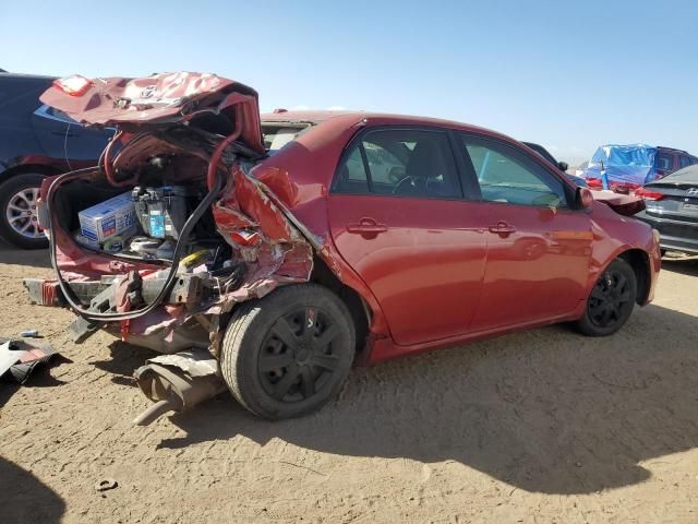 2011 Toyota Corolla Base