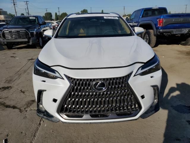 2024 Lexus NX 250 Premium