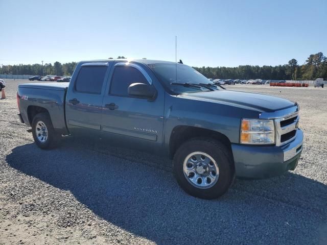 2010 Chevrolet Silverado K1500 LS