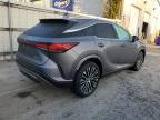 2023 Lexus RX 350 Base