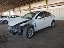 Tesla Model y salvage cars for sale: 2023 Tesla Model Y